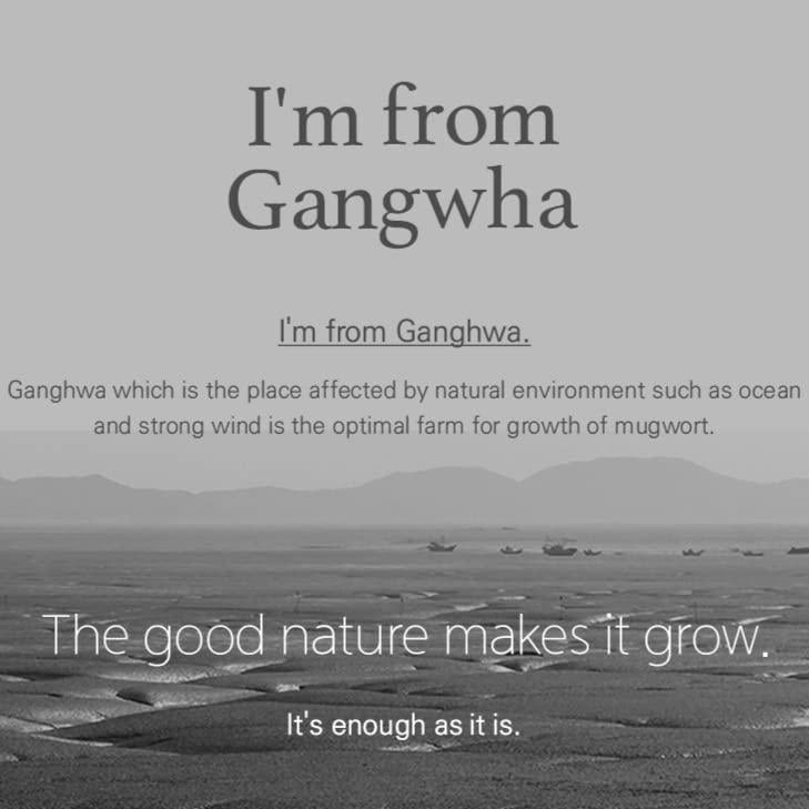 [ImFrom] Mugwort Mask 110g