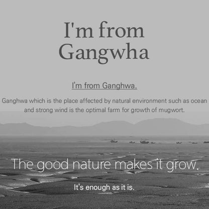 [ImFrom] Mugwort Mask 110g